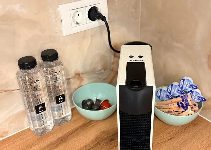 Crown Ultracentral - One Bedroom, Living & Full Kitchen Apartment Timişoara